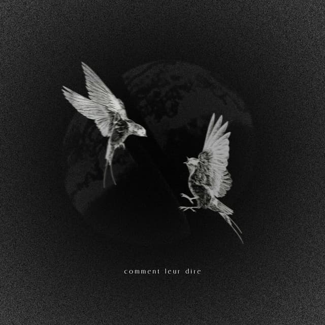 Album cover art for Comment leur dire