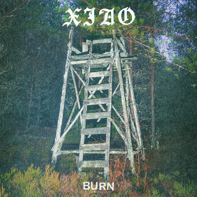 Album cover art for BURN