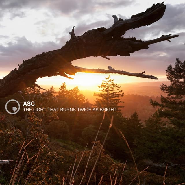 Album cover art for The Light That Burns Twice As Bright