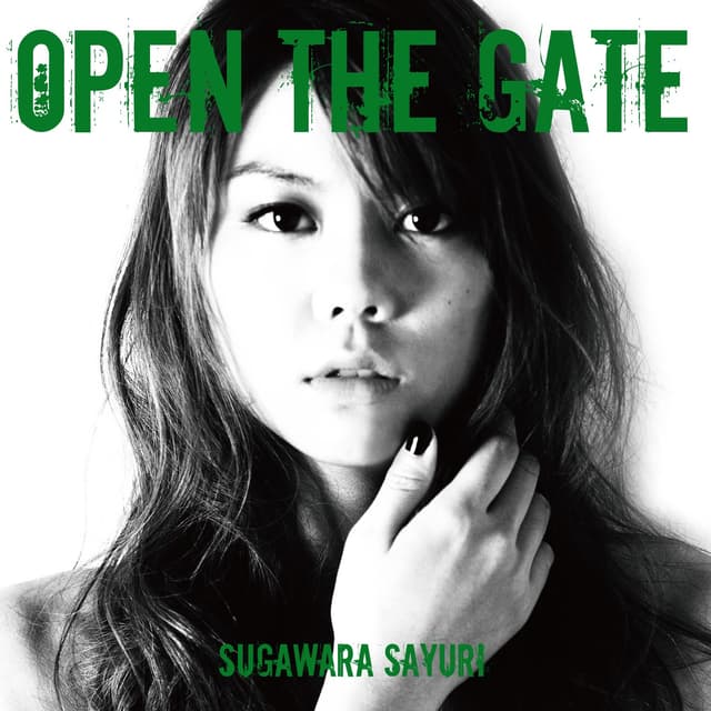 Album cover art for Open the Gate