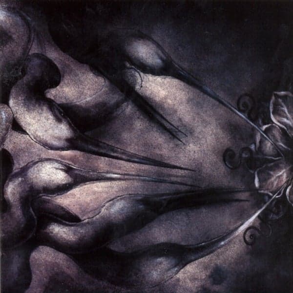 Album cover art for Chaos Is My Name