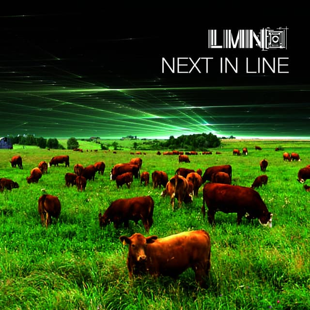 Album cover art for Next In Line