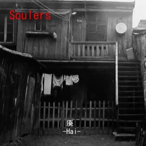 Album cover art for 廃