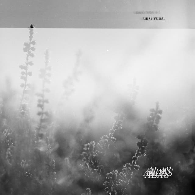 Album cover art for Uusi Vuosi