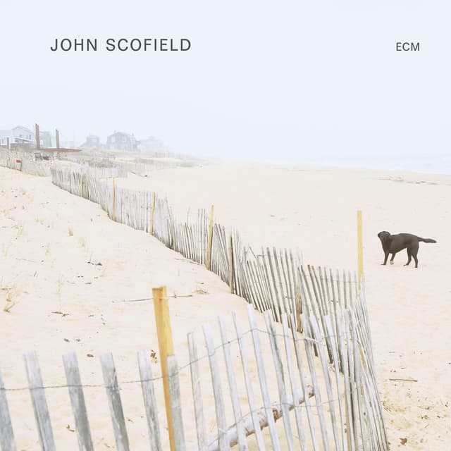 Album cover art for John Scofield