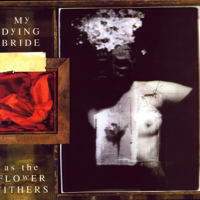 Album cover art for As the Flower Withers