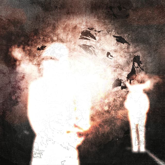 Album cover art for DRAGA