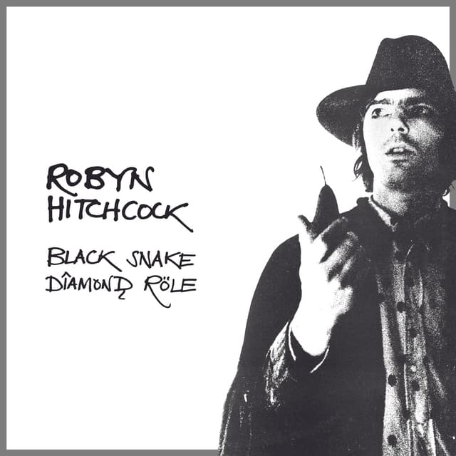 Album cover art for Black Snake Diamond Role