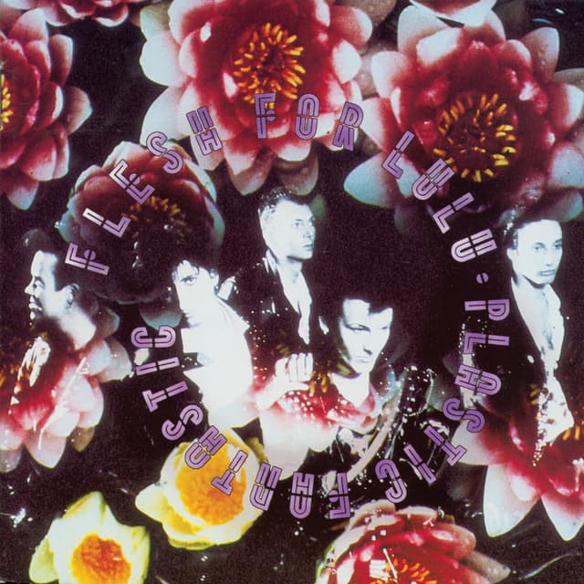 Album cover art for Plastic Fantastic