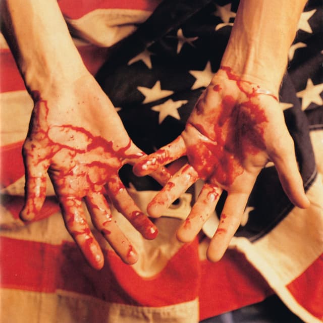 Album cover art for Triage