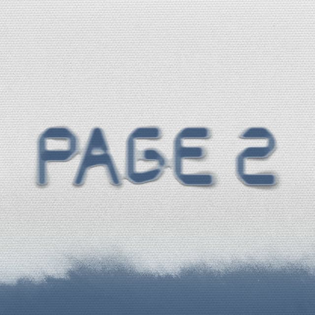 Album cover art for PAGE 2