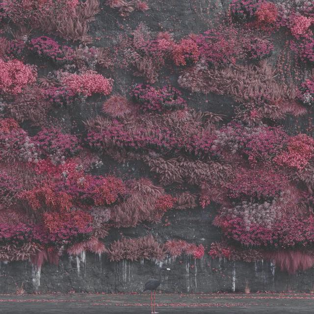 Album cover art for Even in Arcadia
