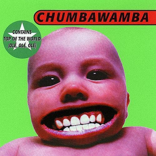 Album cover art for Tubthumper