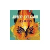 Album cover art for Fearless