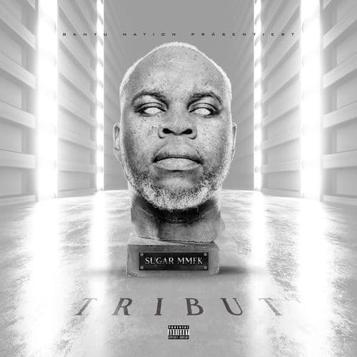Album cover art for Tribut