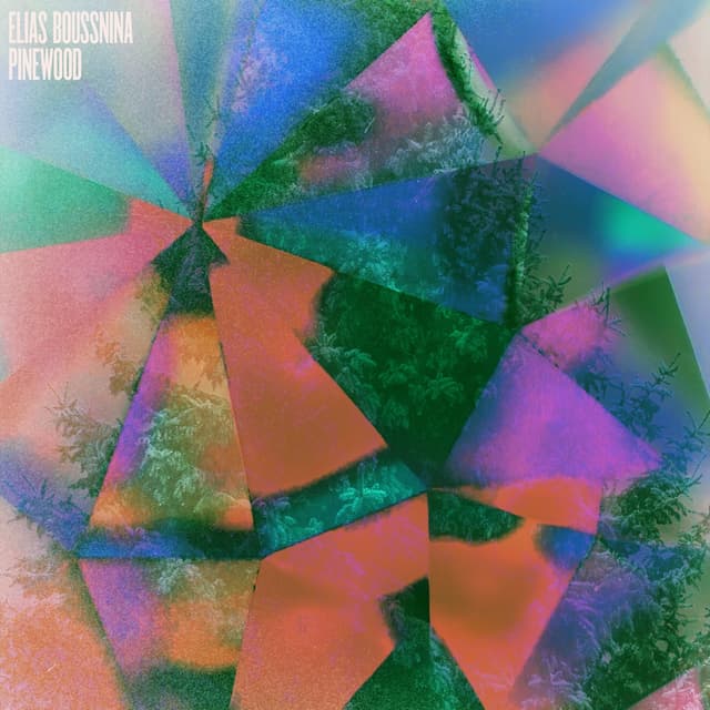 Album cover art for Pinewood