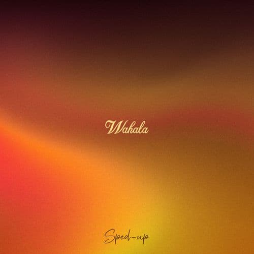 Album cover art for Wahala (CKay feat. Olamide) [Sped Up Version]