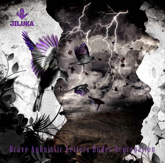 Album cover art for Brave Agonistic Letters Under Segregation