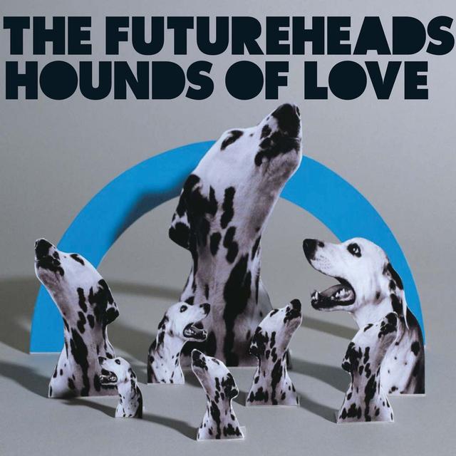 Album cover art for Hounds of Love