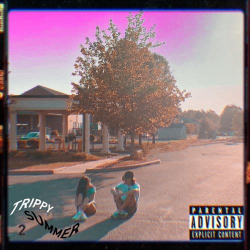 Album cover art for Trippy Summer 2