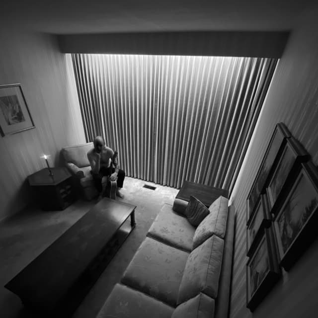 Album cover art for Lovage