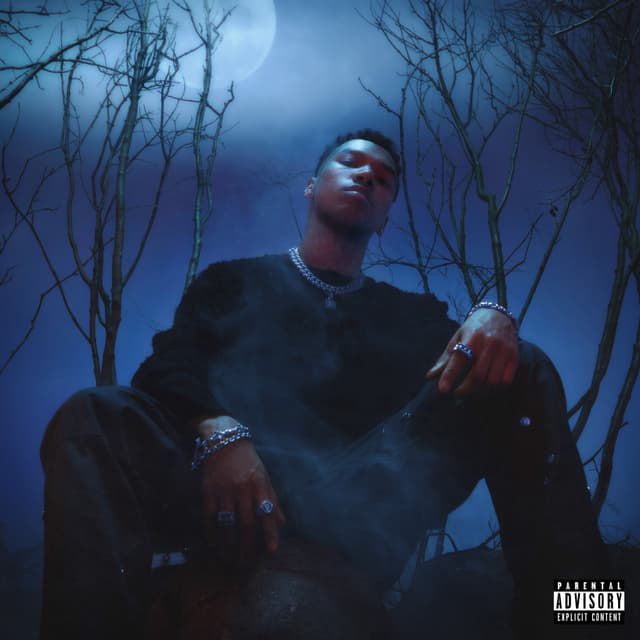 Album cover art for DUSK to DAWN