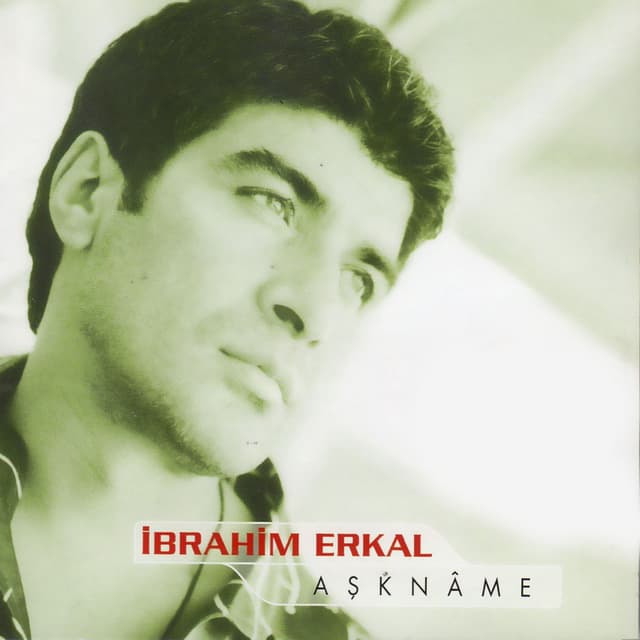 Album cover art for Aşkname