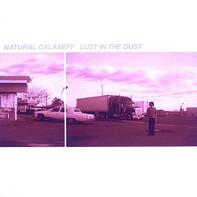 Album cover art for Lust In The Dust