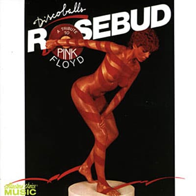 Album cover art for Discoballs: A Tribute to Pink Floyd