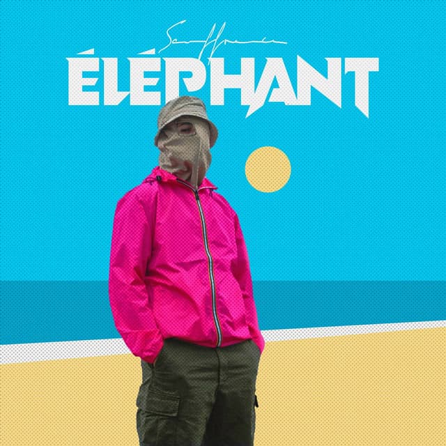 Album cover art for Éléphant
