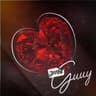 Guuy