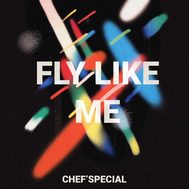 Album cover art for Fly Like Me