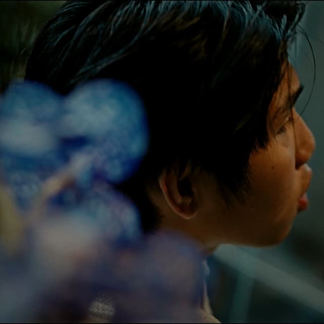 Album cover art for Like Damn