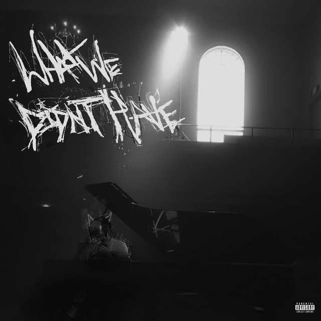 Album cover art for What We Didn't Have