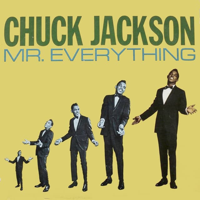 Album cover art for Mr. Everything