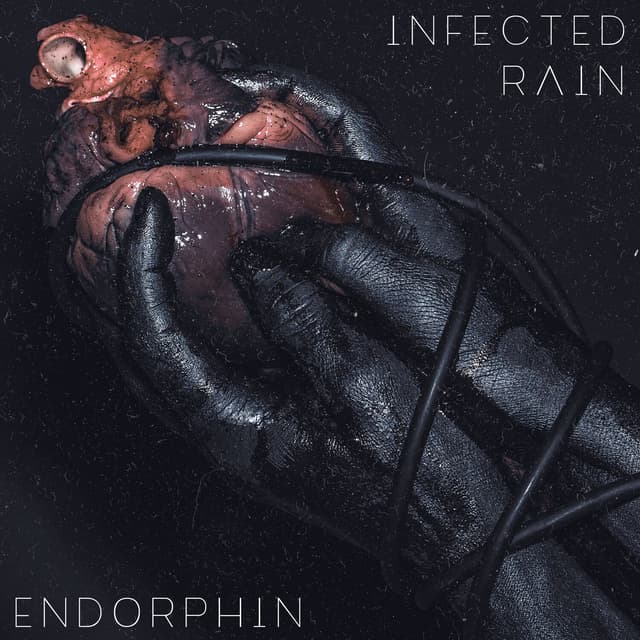 Album cover art for Endorphin