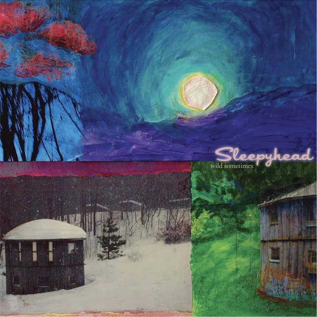 Album cover art for Wild Sometimes