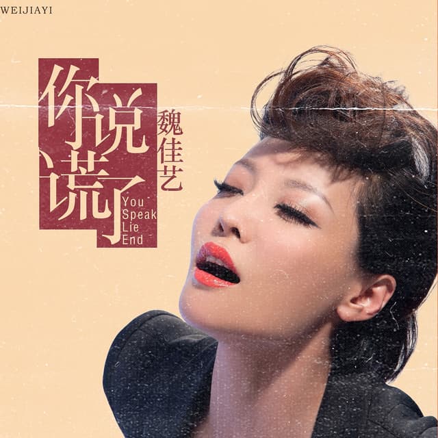 Album cover art for 你说谎了