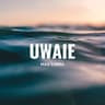 UWAIE