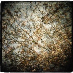 Album cover art for Thistled Spring