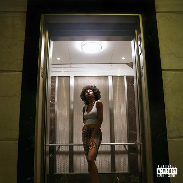 Album cover art for Pregnant with Success