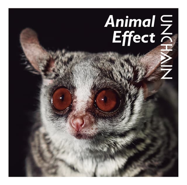 Album cover art for Animal Effect