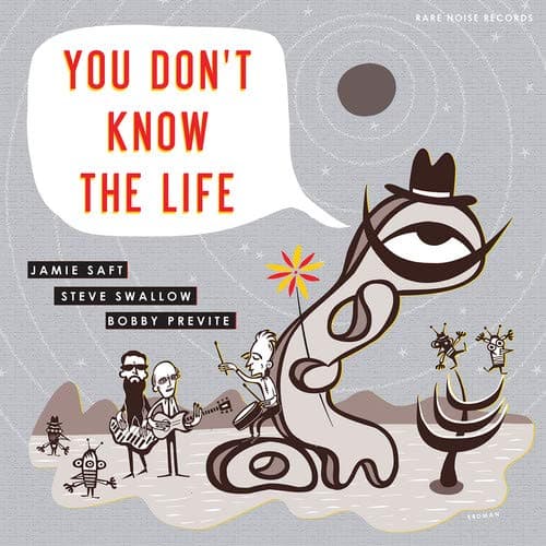 Album cover art for You Don't Know the Life