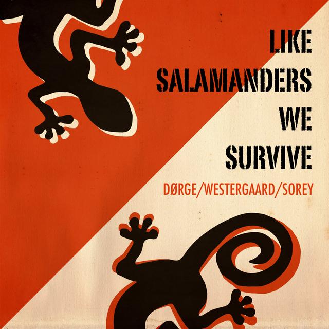 Album cover art for Like Salamanders We Survive