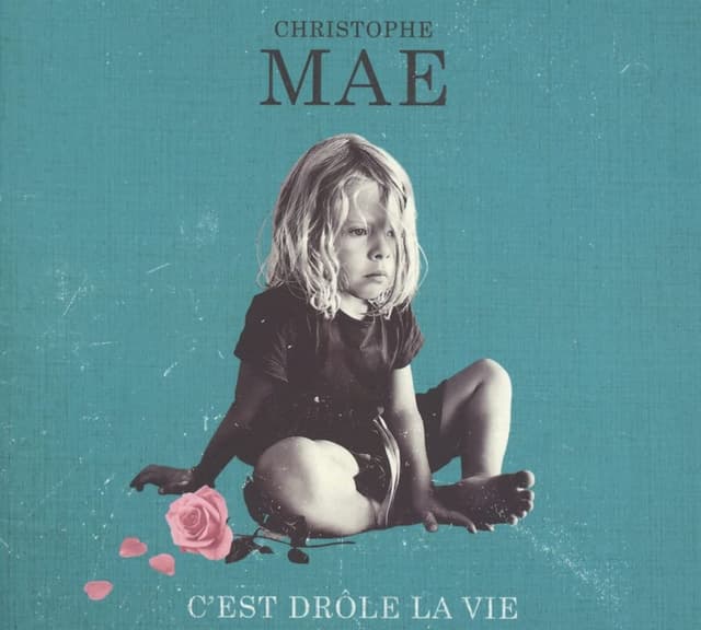 Album cover art for C'est drôle la vie