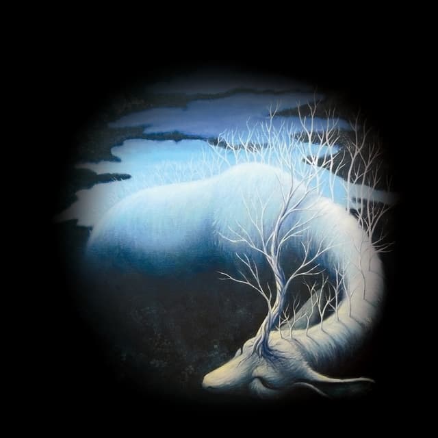 Album cover art for Uinumas