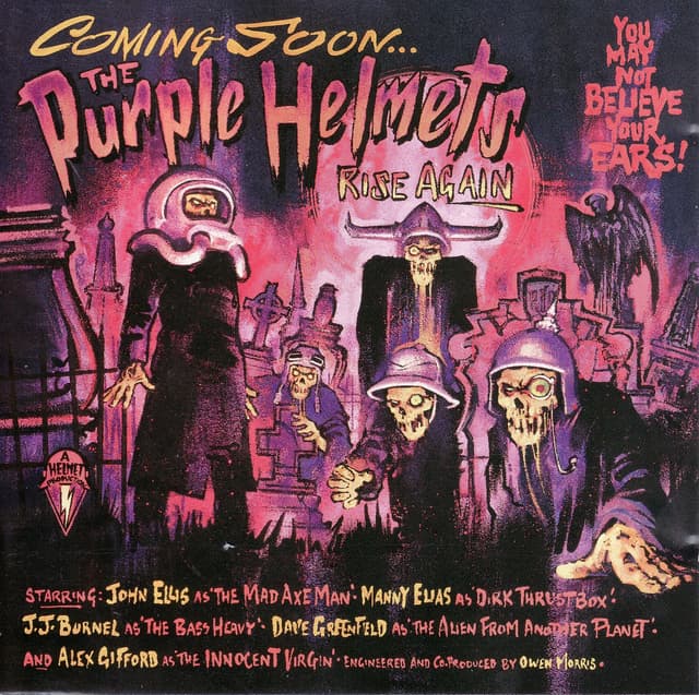 Album cover art for Rise Again