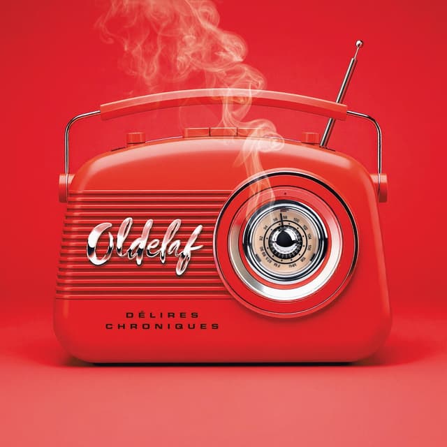 Album cover art for Délires Chroniques