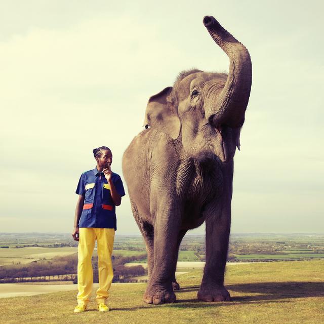 Album cover art for Jahmanji