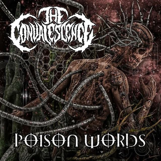 Album cover art for Poison Words